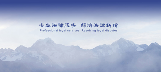 專業法律咨詢與代理服務——北京紅颯律師事務所